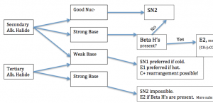 Sample of SN+E Flow Chart